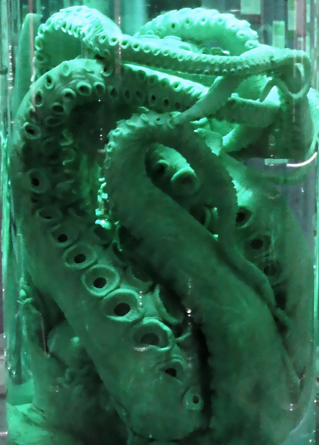 Sony Cyber-shot DSC-W350 sample photo. Tentacles photography