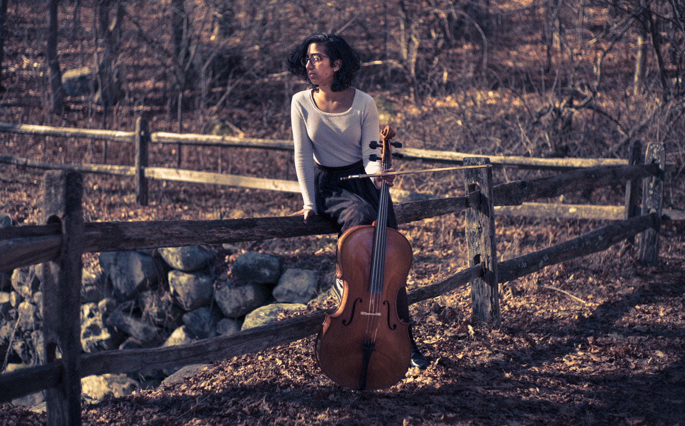 Summilux-M 1:1.4/50 sample photo. Cello in the woods - ii photography