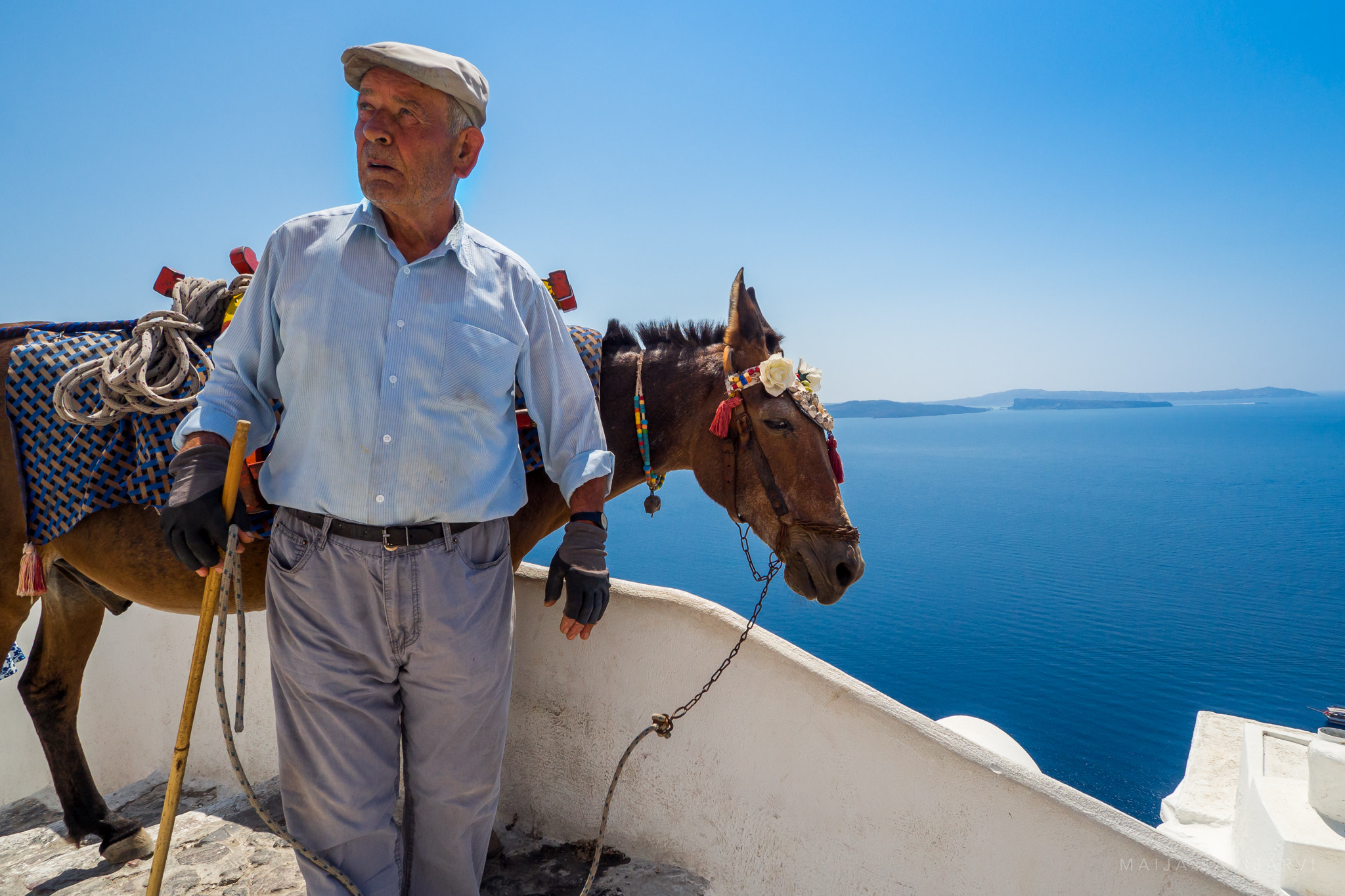 Olympus OM-D E-M10 sample photo. His name was giorgos. no, not the man's, the donkey's. photography