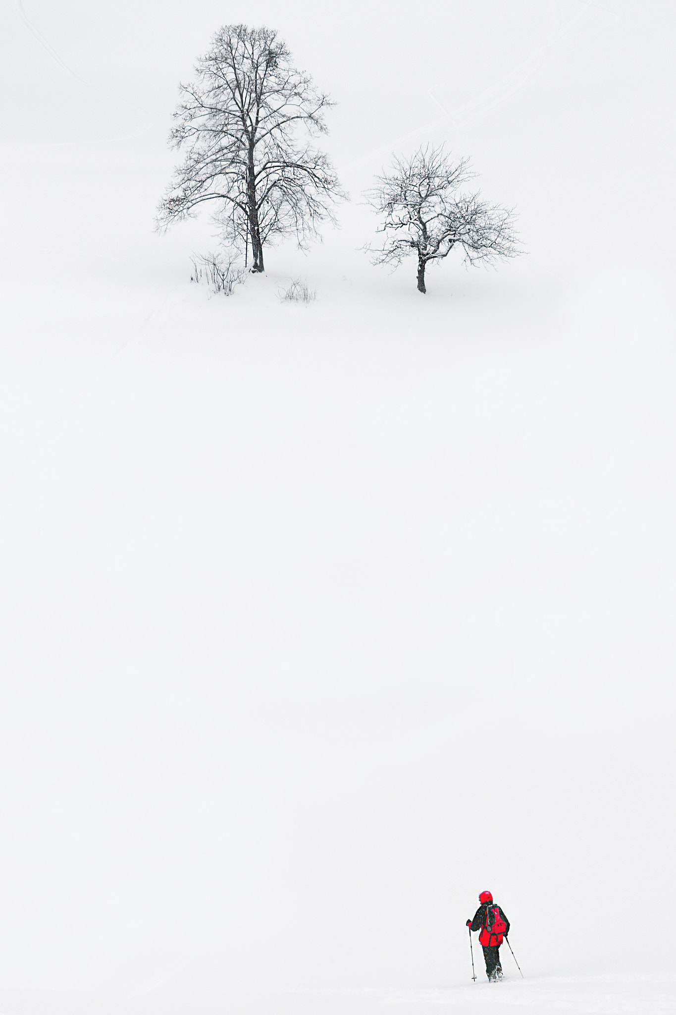 Sony a99 II + Sony 70-400mm F4-5.6 G SSM II sample photo. Snowshoeing photography