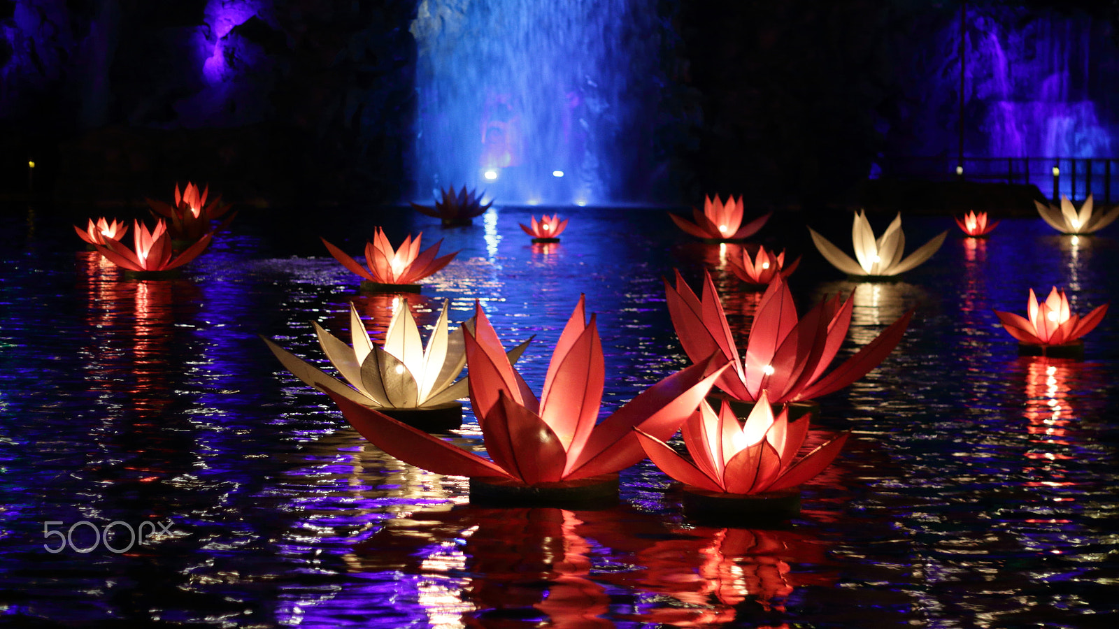 Canon EOS 1300D (EOS Rebel T6 / EOS Kiss X80) + Canon EF 50mm F1.8 II sample photo. Lotus pond photography