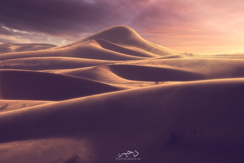 Nikon D600 sample photo. Golden sands photography