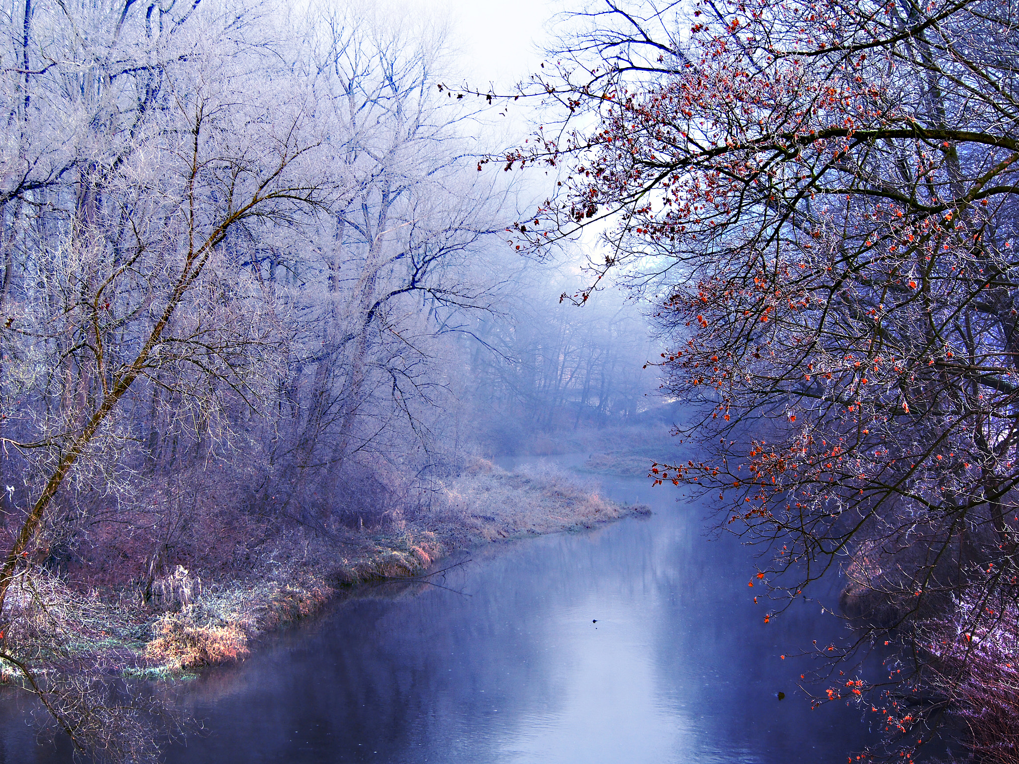 Olympus PEN E-PL5 sample photo. Winter morning photography
