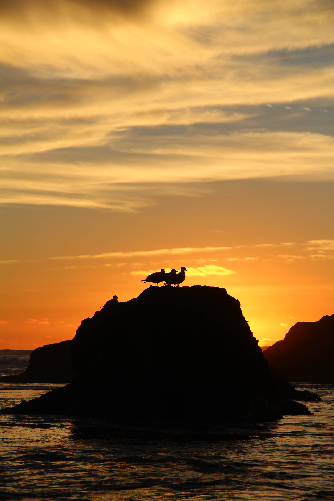 Canon EF-S 17-85mm F4-5.6 IS USM sample photo. 3 little birds photography