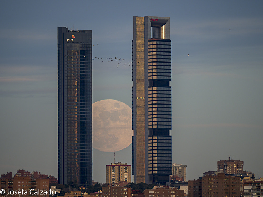 Olympus OM-D E-M1 Mark II + LEICA DG 100-400/F4.0-6.3 sample photo. Luna de enero en las 4 torres de madrid photography