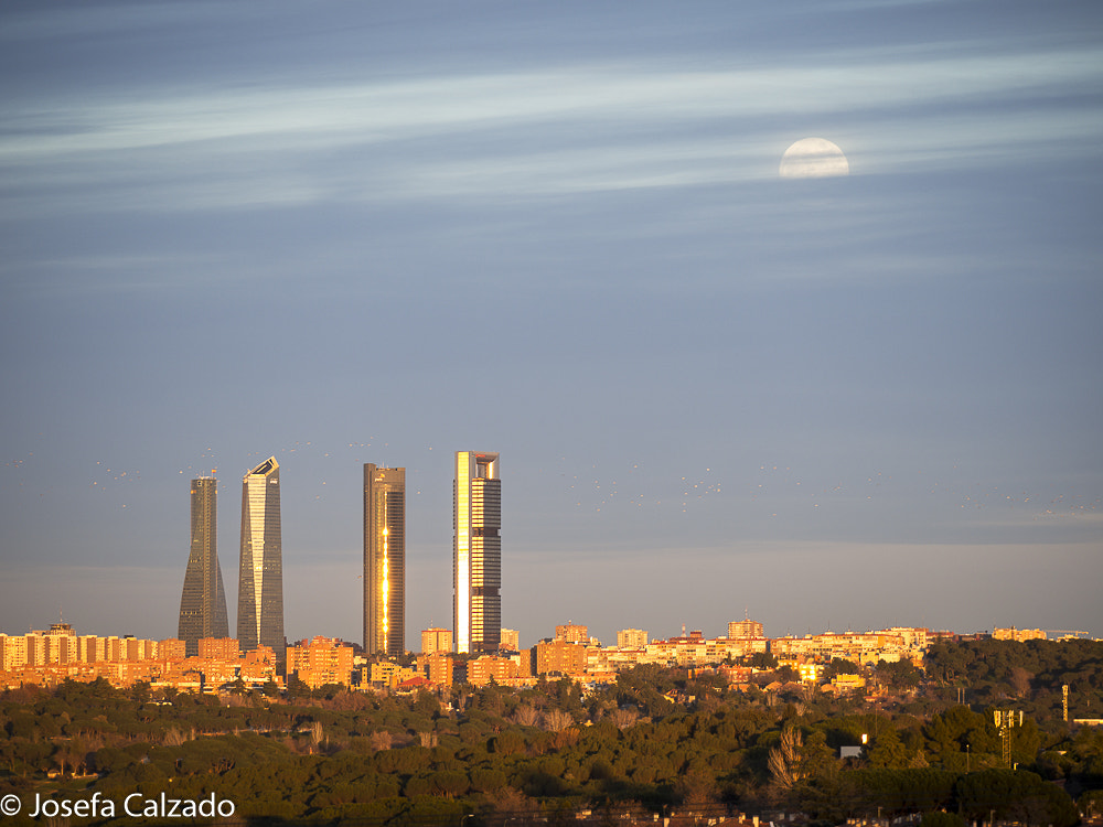 Olympus OM-D E-M1 Mark II + LEICA DG 100-400/F4.0-6.3 sample photo. Luna de enero en las 4 torres de madrid photography