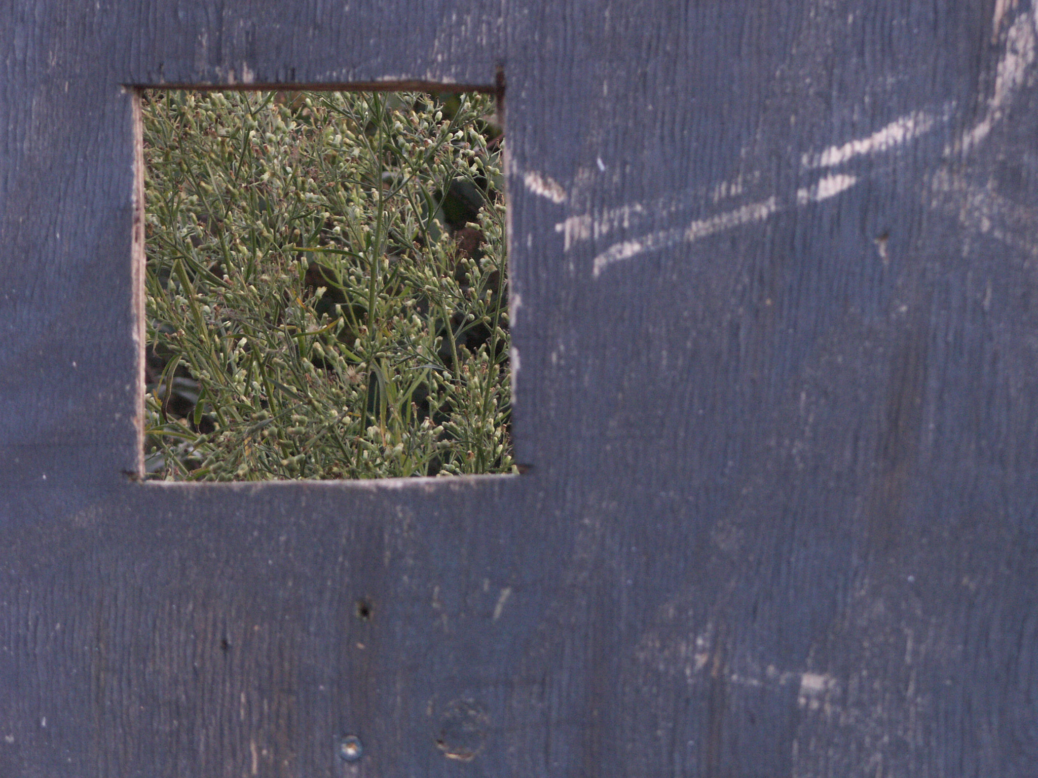 KONICA MINOLTA DiMAGE Z6 sample photo. Random window photography