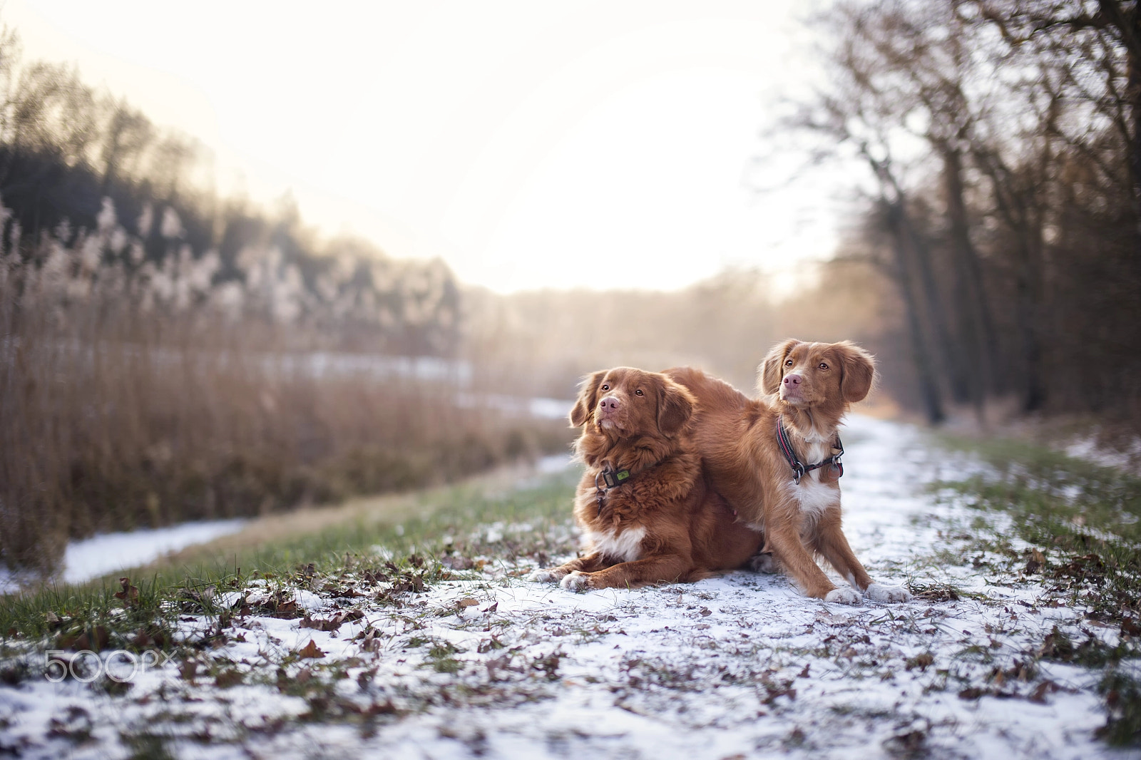 Nikon D3 sample photo. Family in winter time... photography