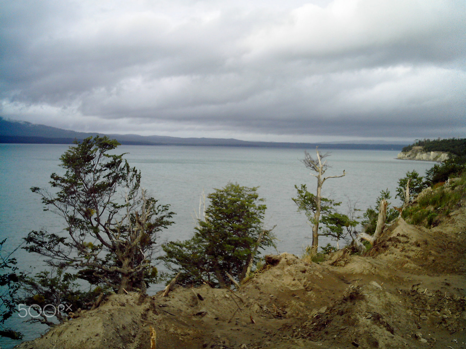 Polaroid A500C sample photo. 17099711712.jpg photography