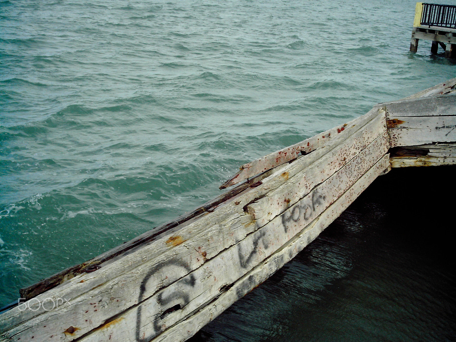Polaroid A500C sample photo. 17101234645.jpg photography
