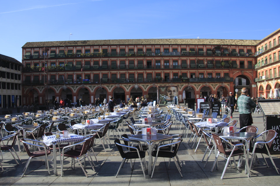 Canon EOS 1200D (EOS Rebel T5 / EOS Kiss X70 / EOS Hi) sample photo. Al ristorante photography