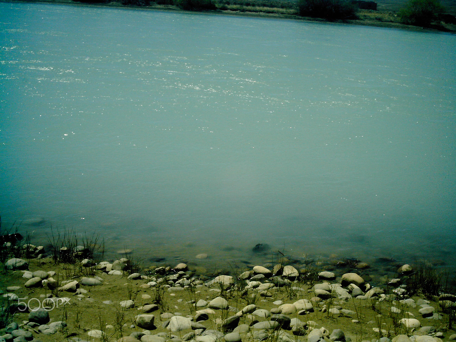 Polaroid A500C sample photo. 17101247675.jpg photography