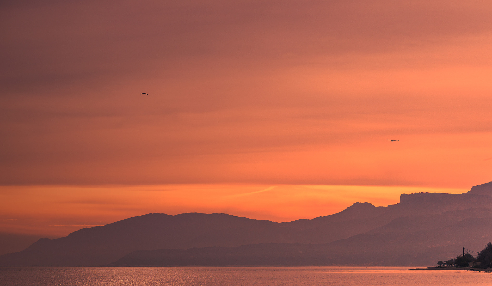 Nikon D600 sample photo. Flying photography