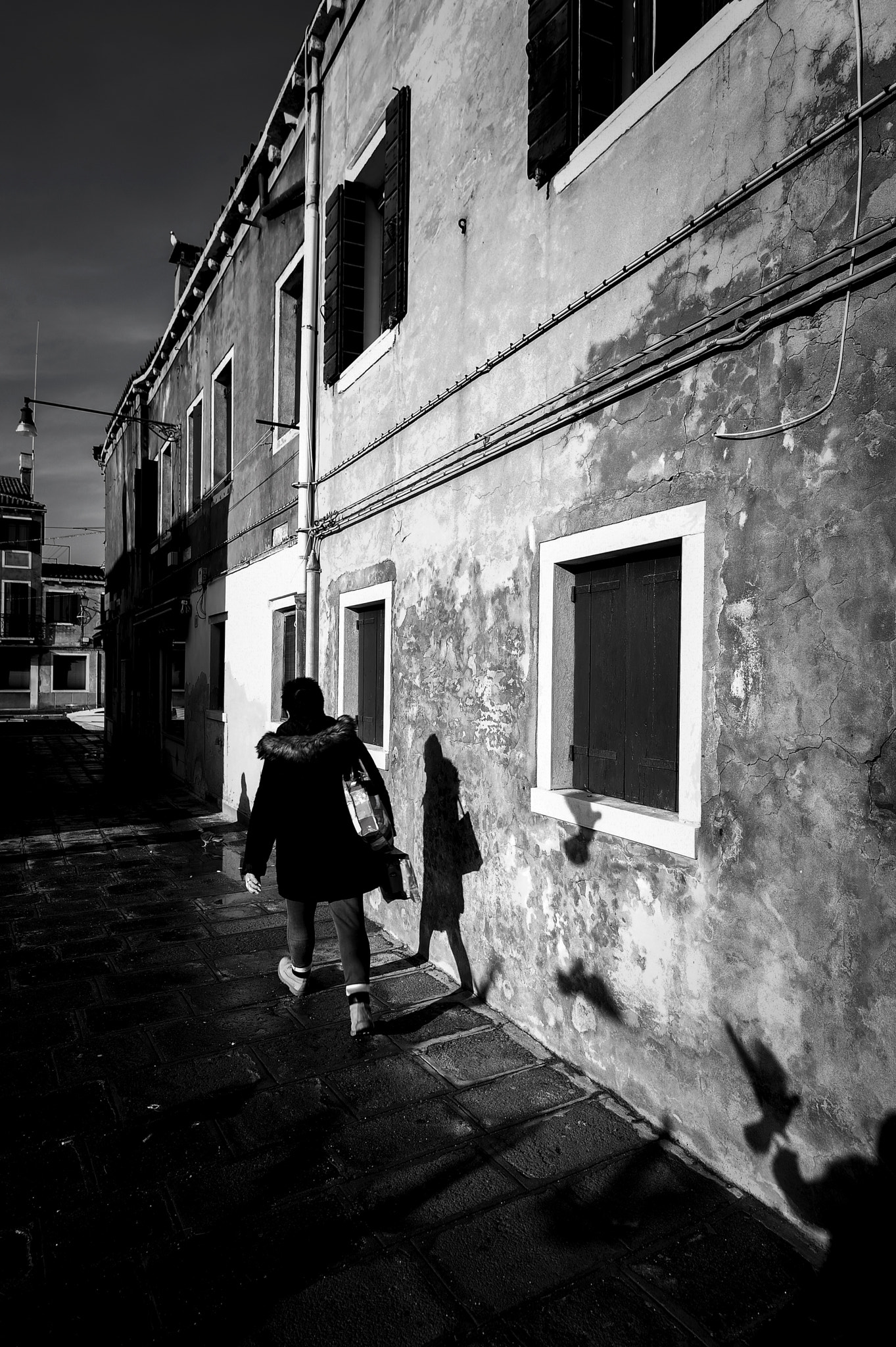 Nikon D4S sample photo. Walk & fly photography