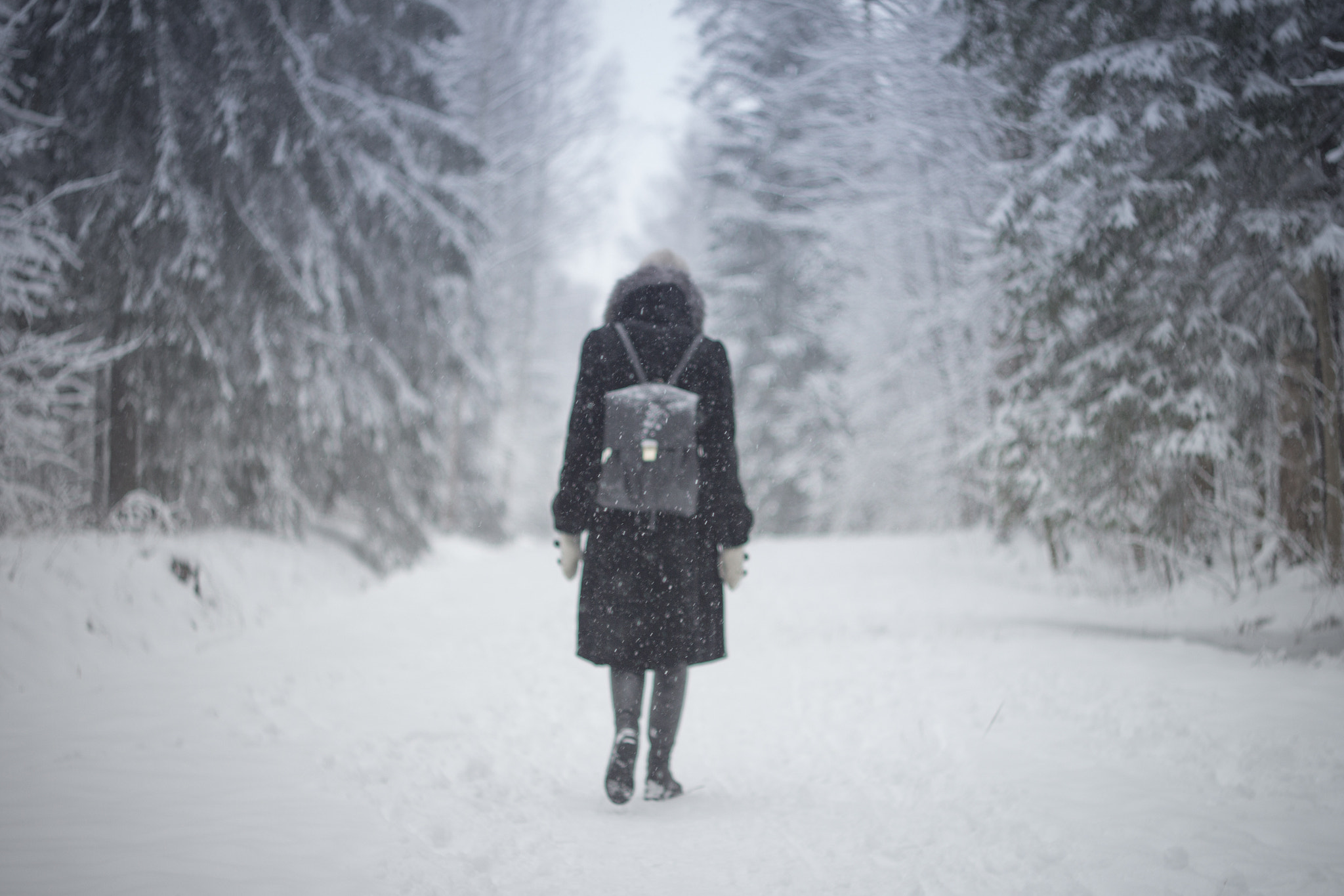 Canon EF 35-80mm f/4-5.6 sample photo. Through the snow photography