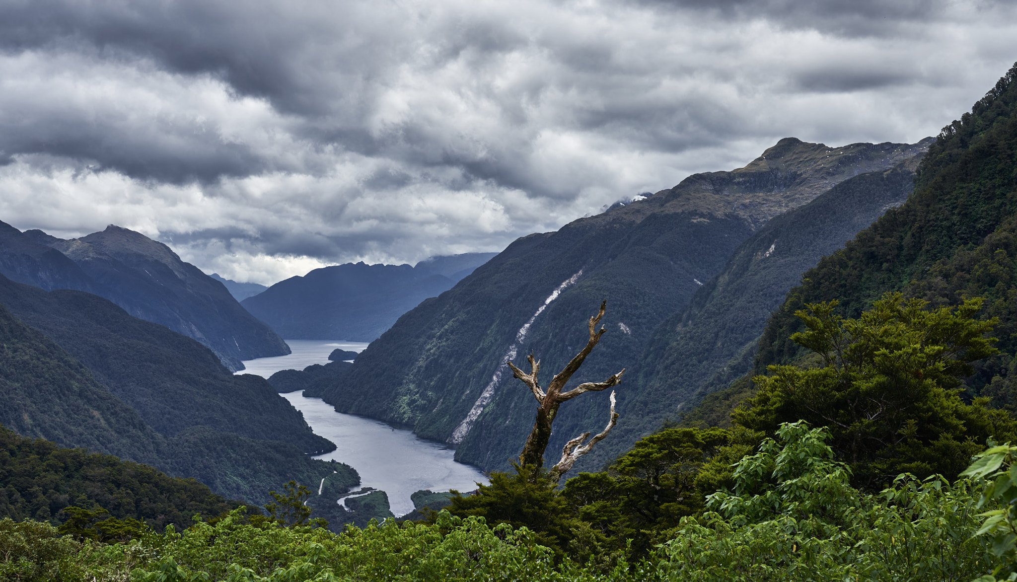 Sony FE 24-70mm F2.8 GM sample photo. View on doubtful sound new zealand photography