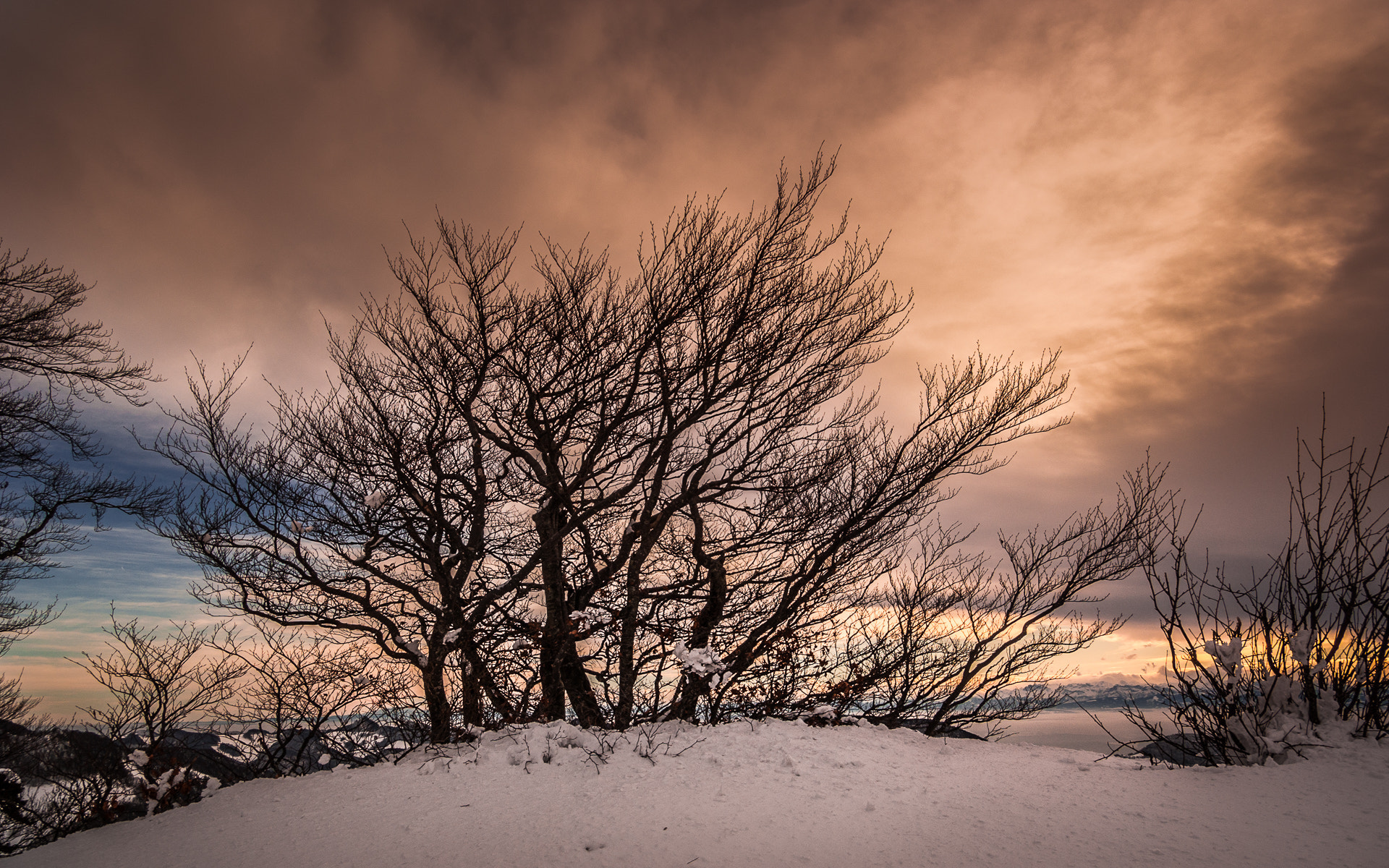 Pentax K10D sample photo. Winter light on passwang photography