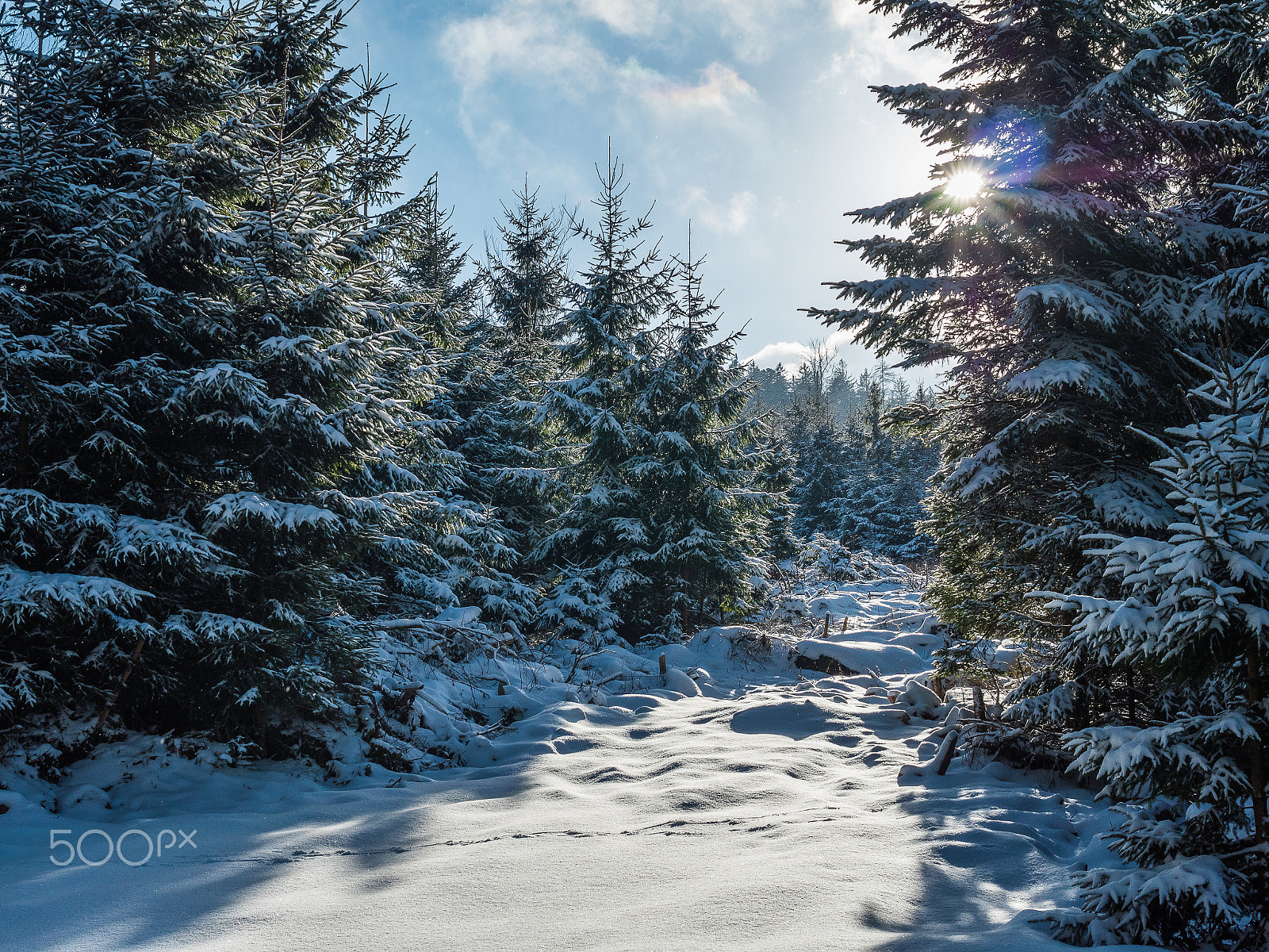 Panasonic Lumix DMC-GX8 + Panasonic Leica DG Summilux 25mm F1.4 II ASPH sample photo. Winter day photography