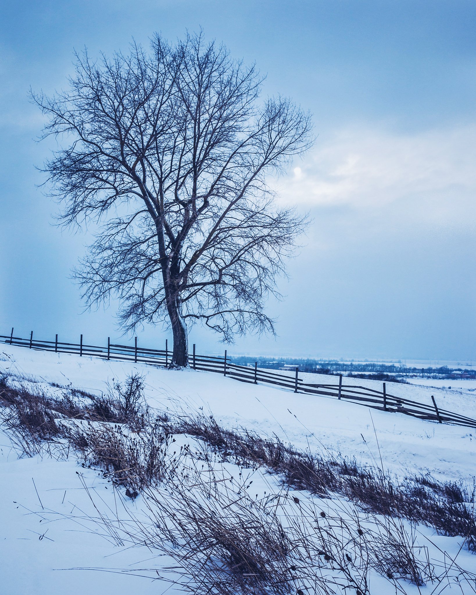 Samsung NX1100 sample photo. Winter morning photography