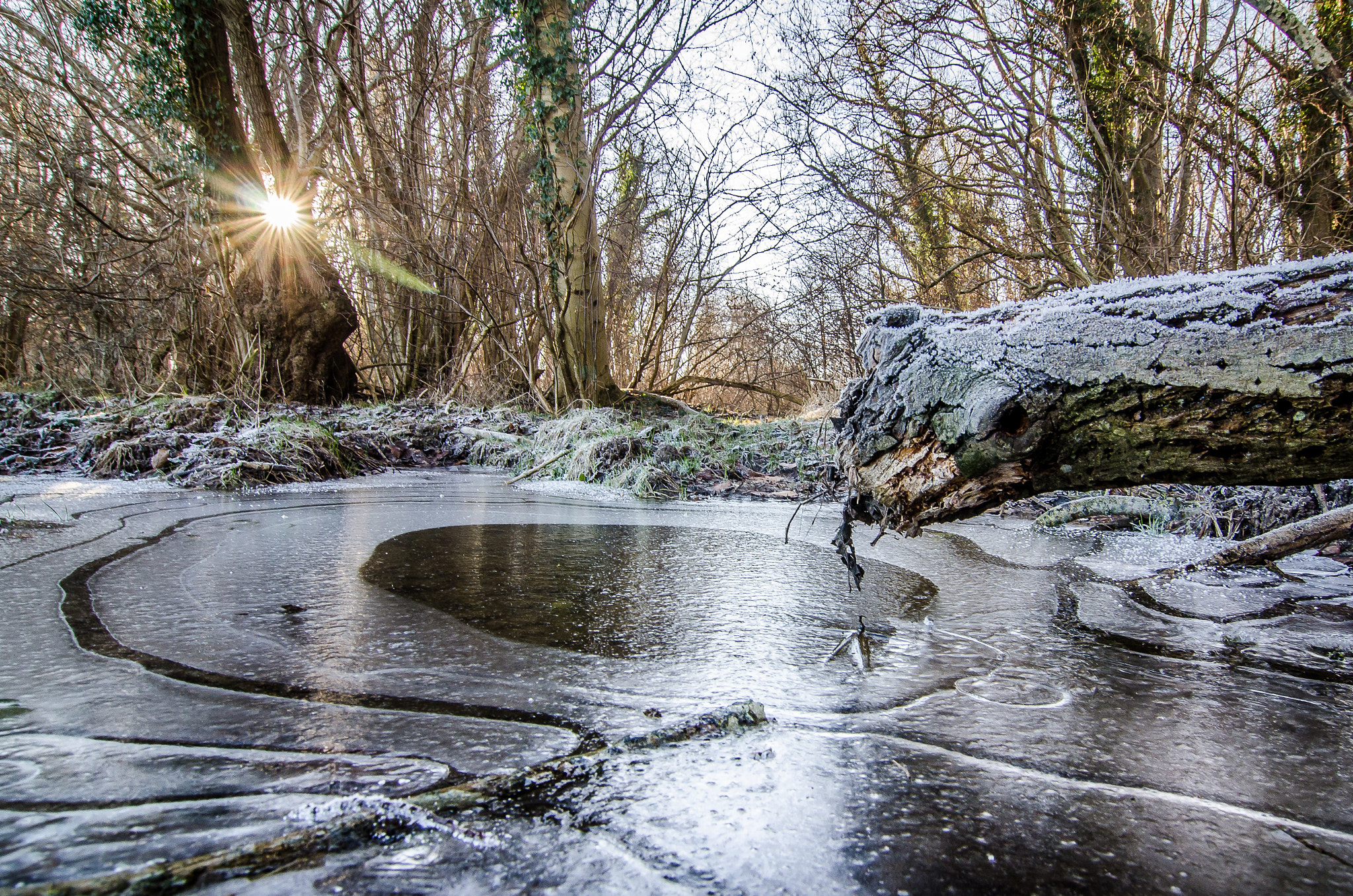 Tokina AT-X Pro 12-24mm F4 (IF) DX sample photo. Frozen photography