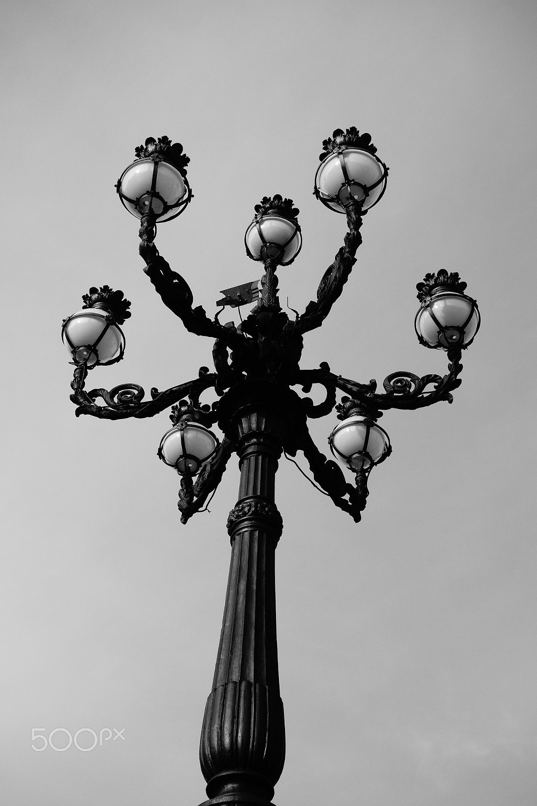 Sony Cyber-shot DSC-RX100 + Sony 28-100mm F1.8-4.9 sample photo. The lantern is alive photography