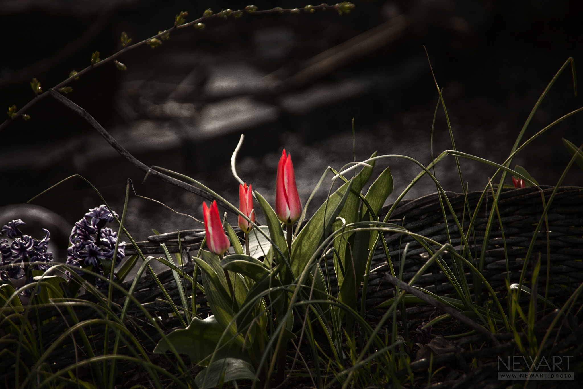 Canon EOS-1Ds Mark II sample photo. 0273 photography