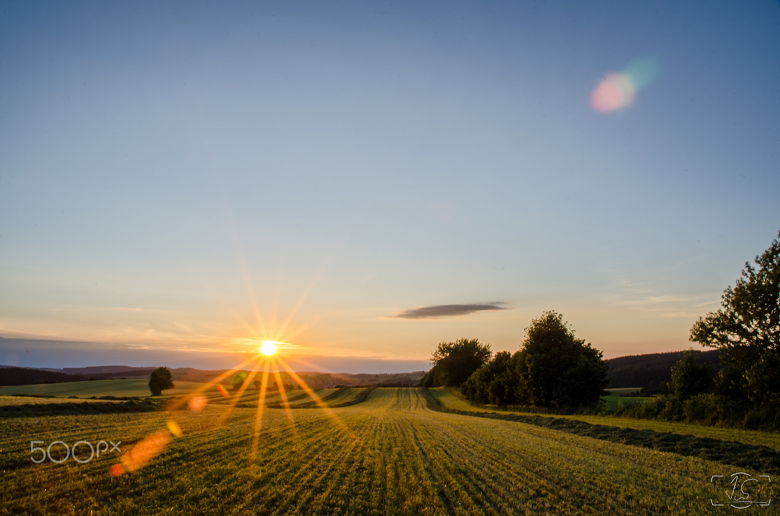 Sigma 18-125mm F3.8-5.6 DC HSM sample photo. Grass harvest photography