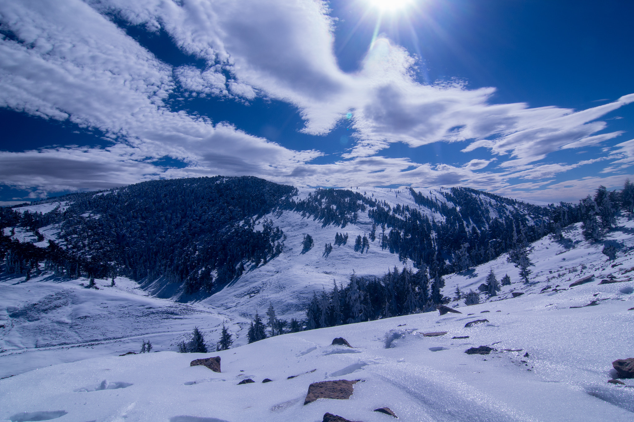 Tokina AT-X Pro 12-24mm F4 (IF) DX sample photo. Flying in the blue dream  photography