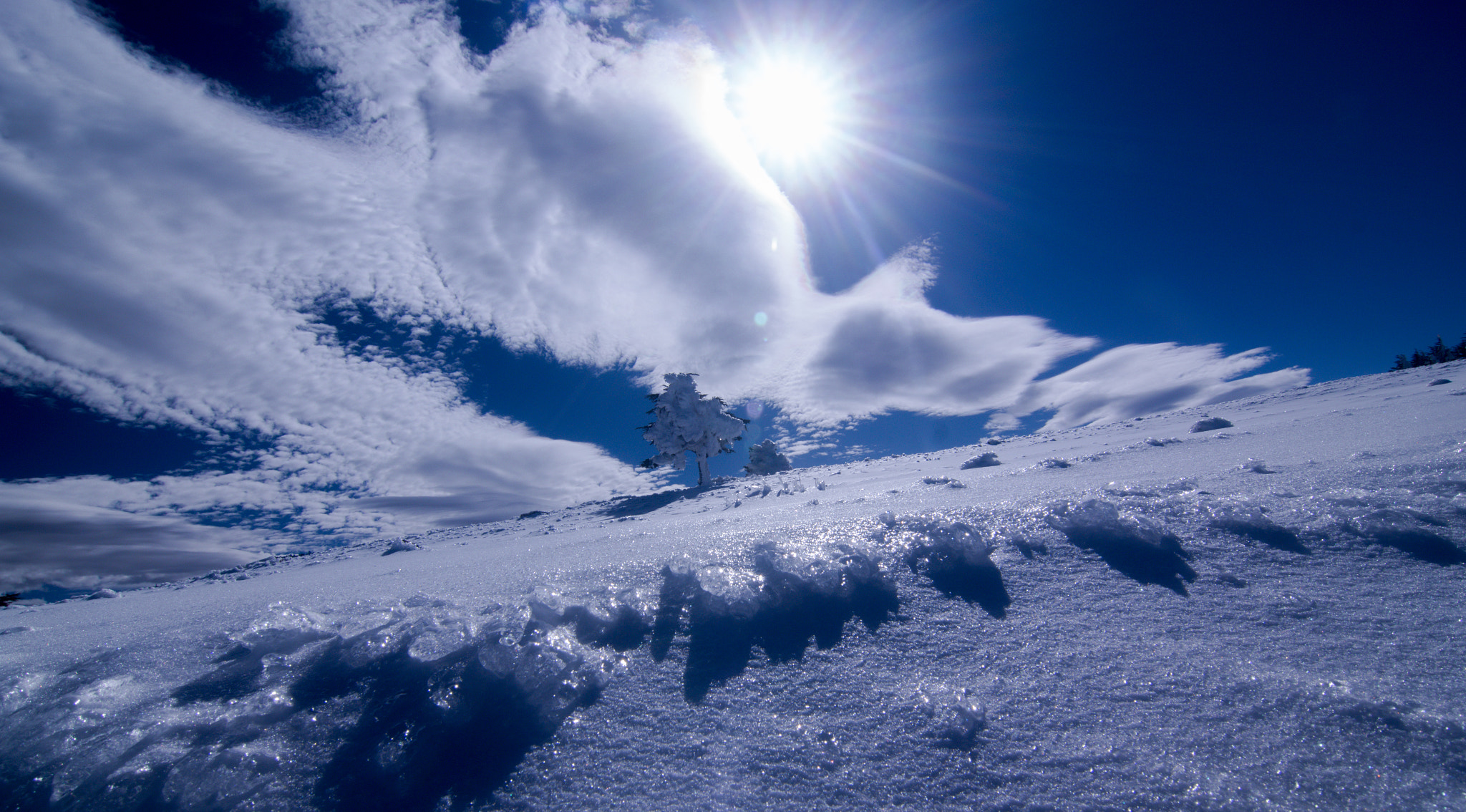 Tokina AT-X Pro 12-24mm F4 (IF) DX sample photo. Hello sun :) photography