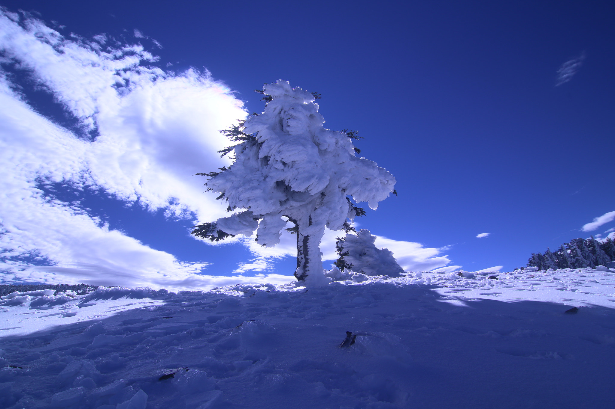 Tokina AT-X Pro 12-24mm F4 (IF) DX sample photo. Frozen minutes  photography