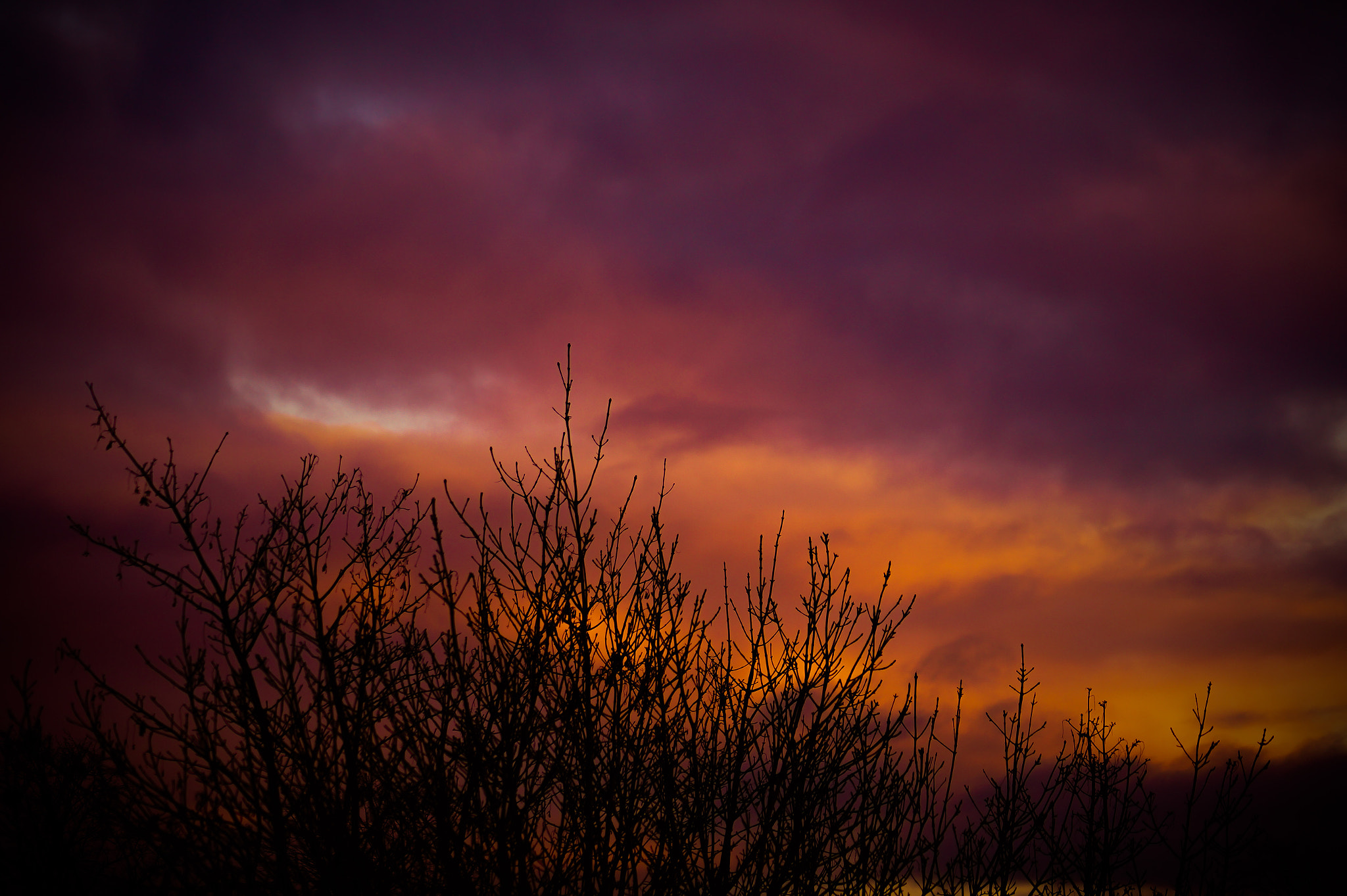 Sony SLT-A58 + Sony DT 55-200mm F4-5.6 SAM sample photo. Lovely sunset photography