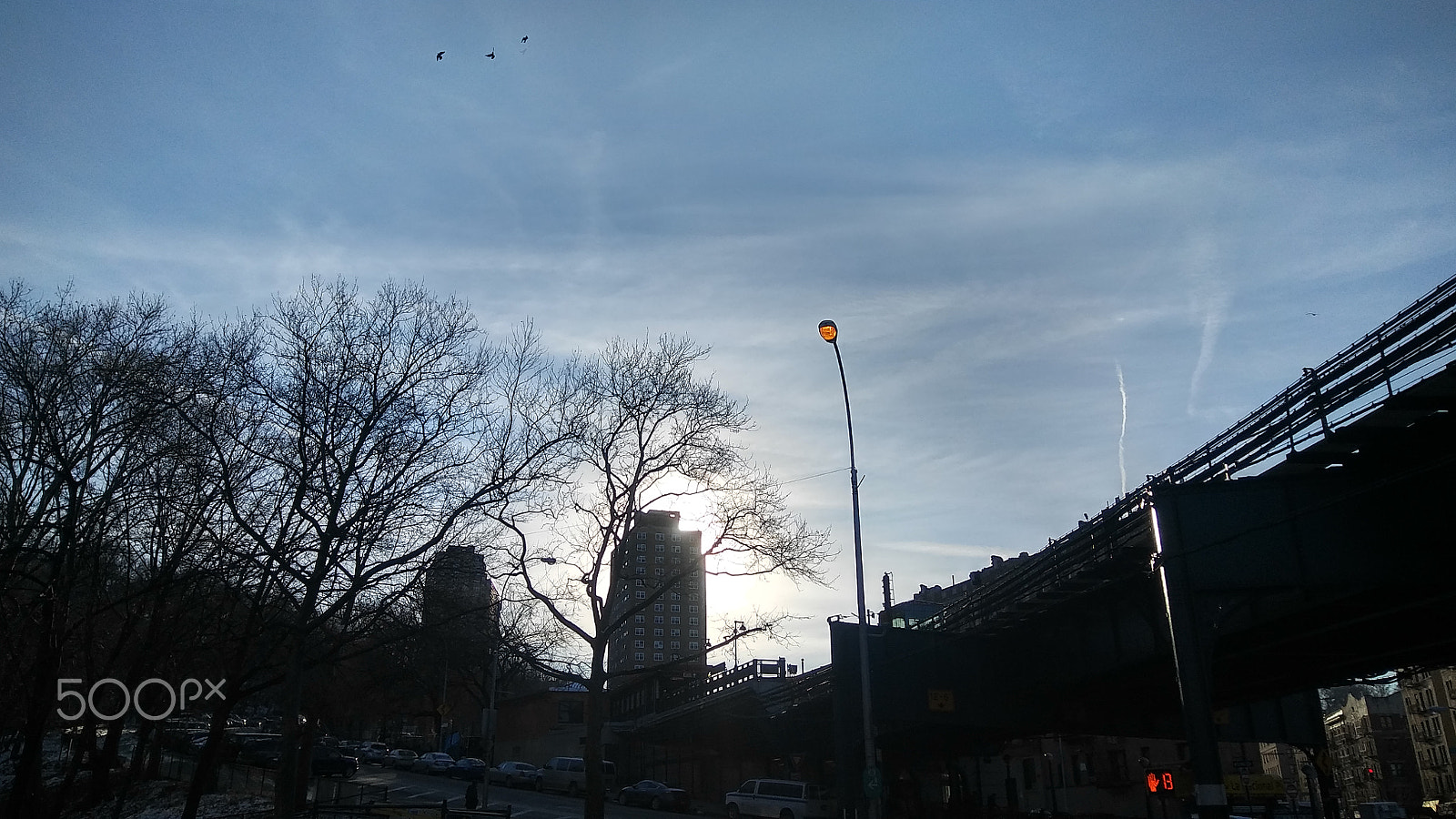 LG STYLO 2 PLUS sample photo. Pigeon poop.. photography