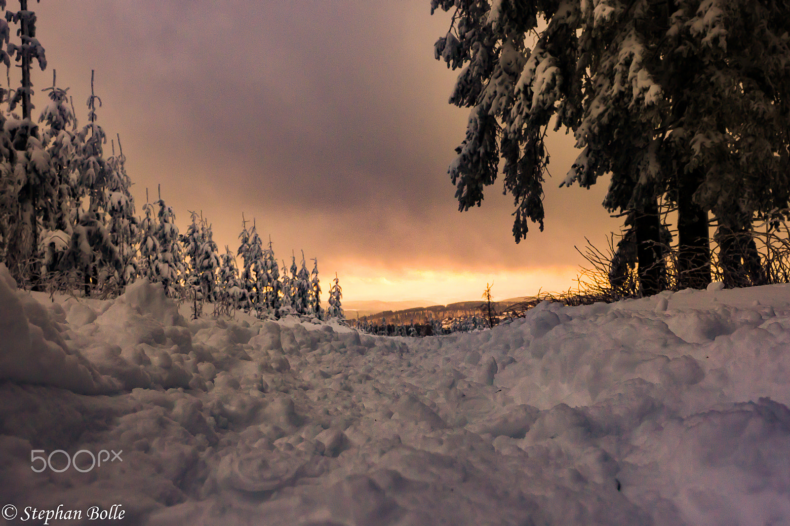 Olympus OM-D E-M10 sample photo. Winter wonderland winterberg photography