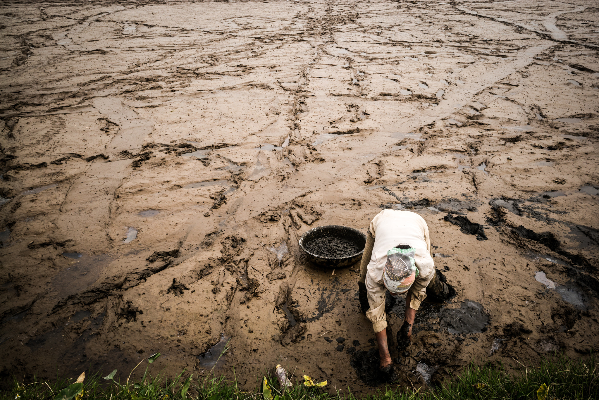 Summicron-M 1:2/28 ASPH. sample photo. Collecting sea snails in vietnam photography