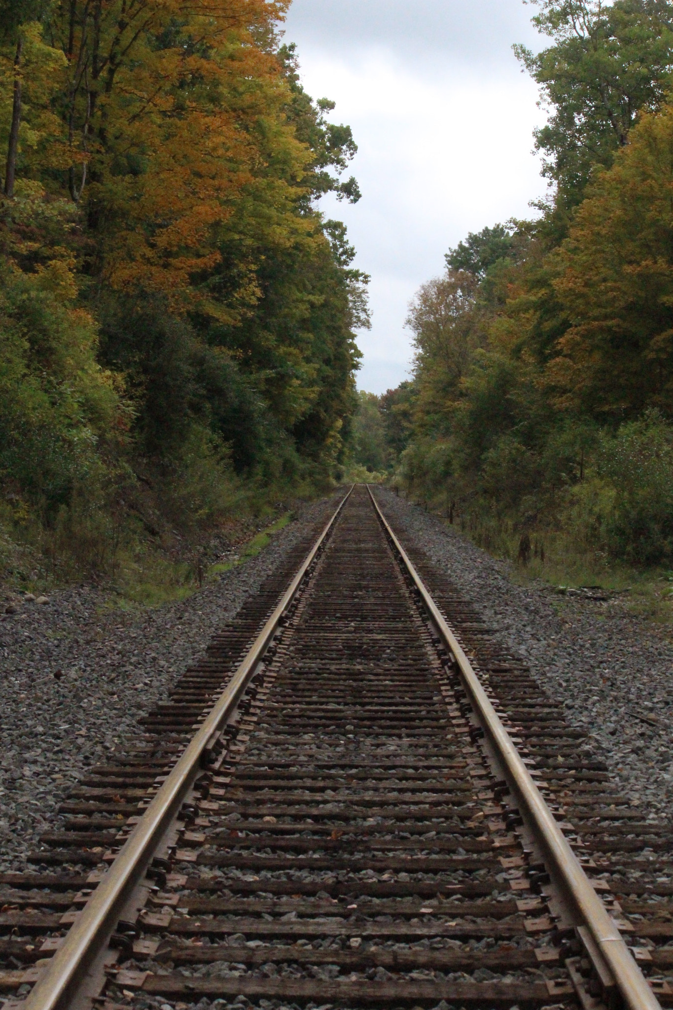 Canon EF-S 55-250mm F4-5.6 IS sample photo. From the tracks photography