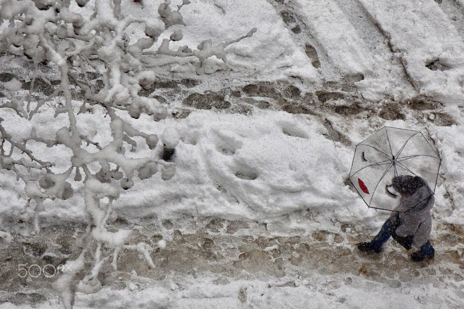 Canon EOS 50D sample photo. Snow photography