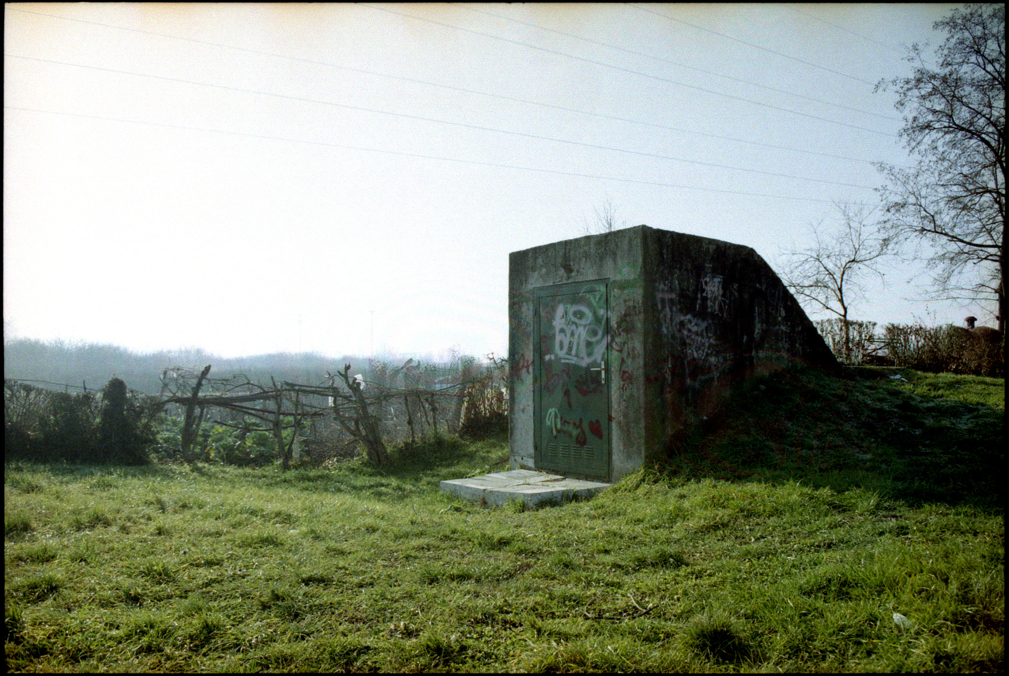 Pentax MZ-S sample photo. Foggy days photography