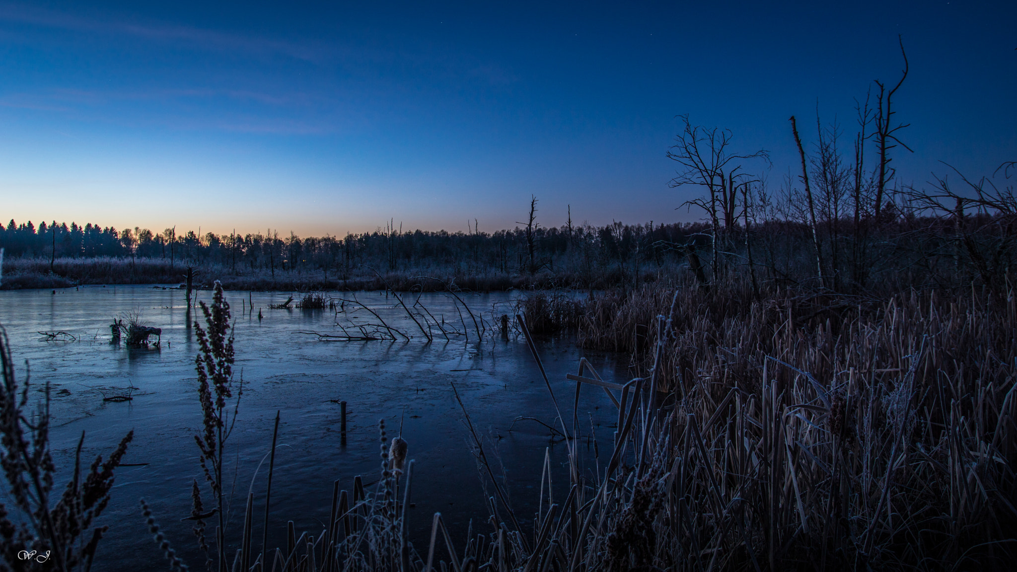 Sony ILCA-77M2 sample photo. Blue hour at the moss photography