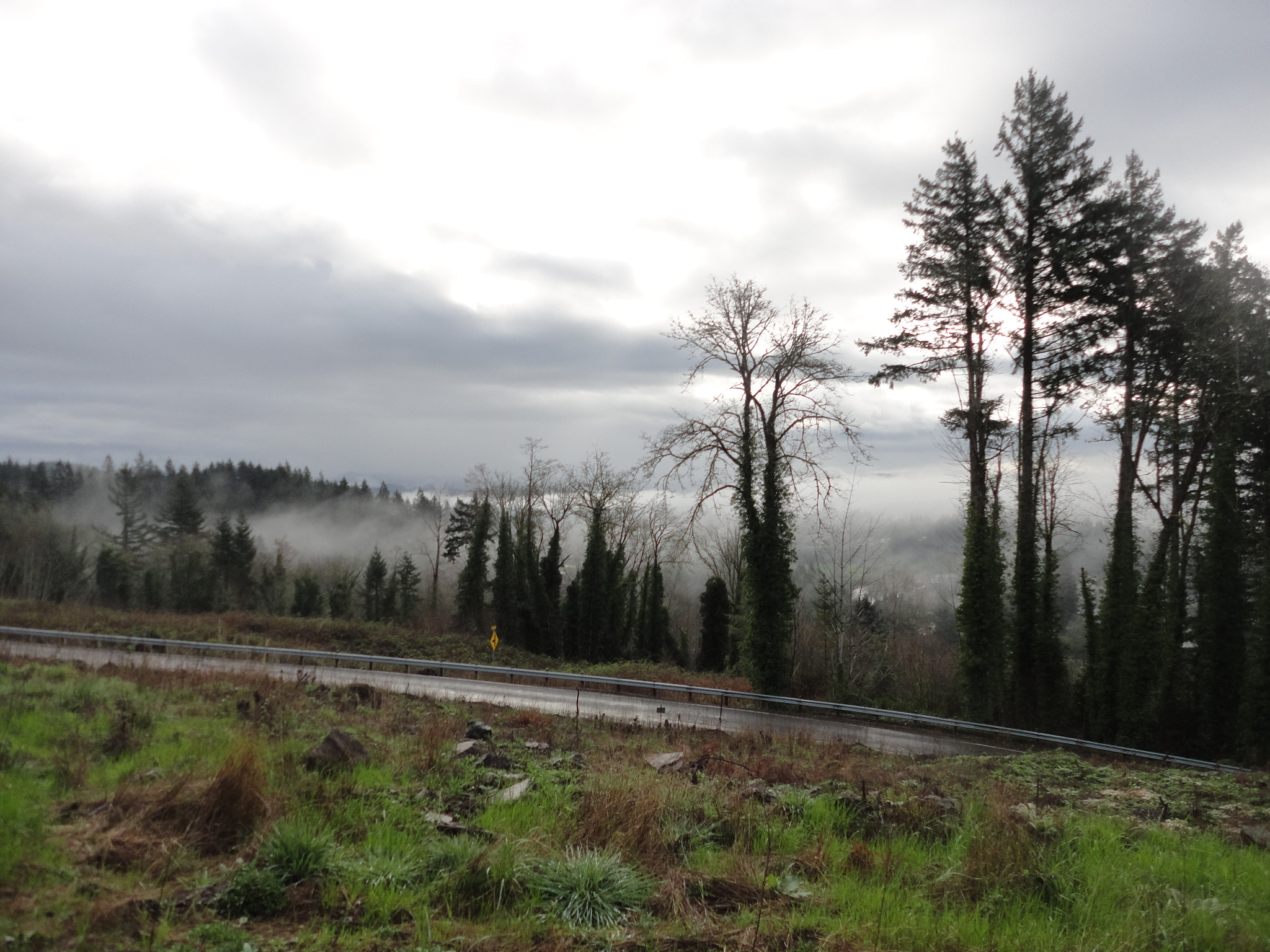Sony Cyber-shot DSC-W560 sample photo. Woodburn hill march 2016 photography