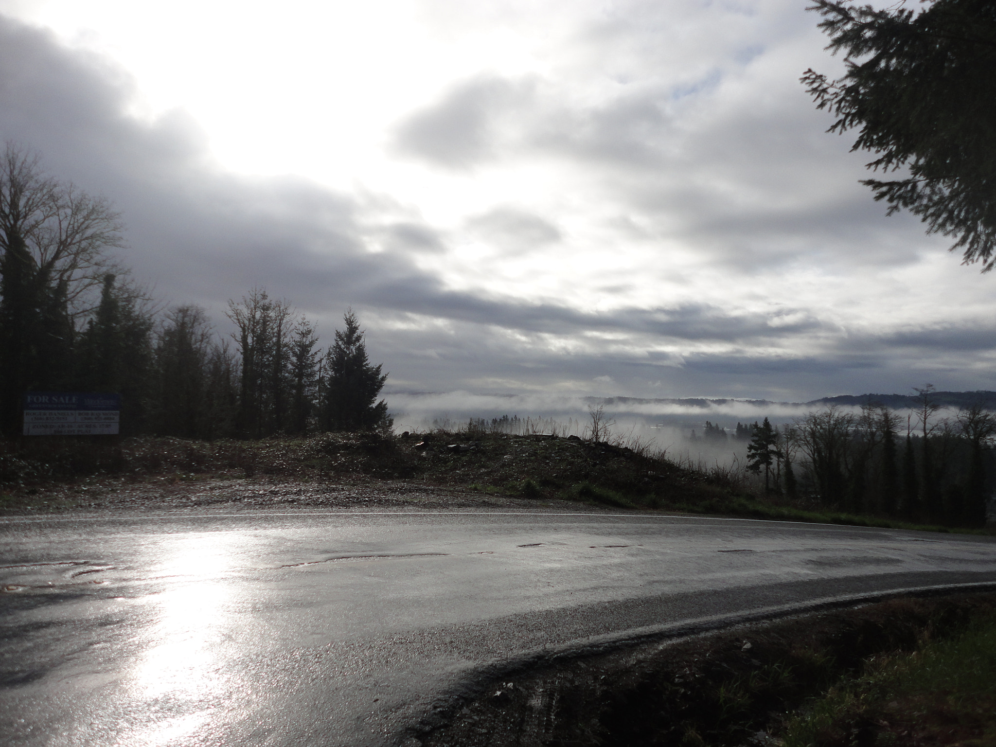 Sony Cyber-shot DSC-W560 sample photo. Woodburn hill march 2016 photography