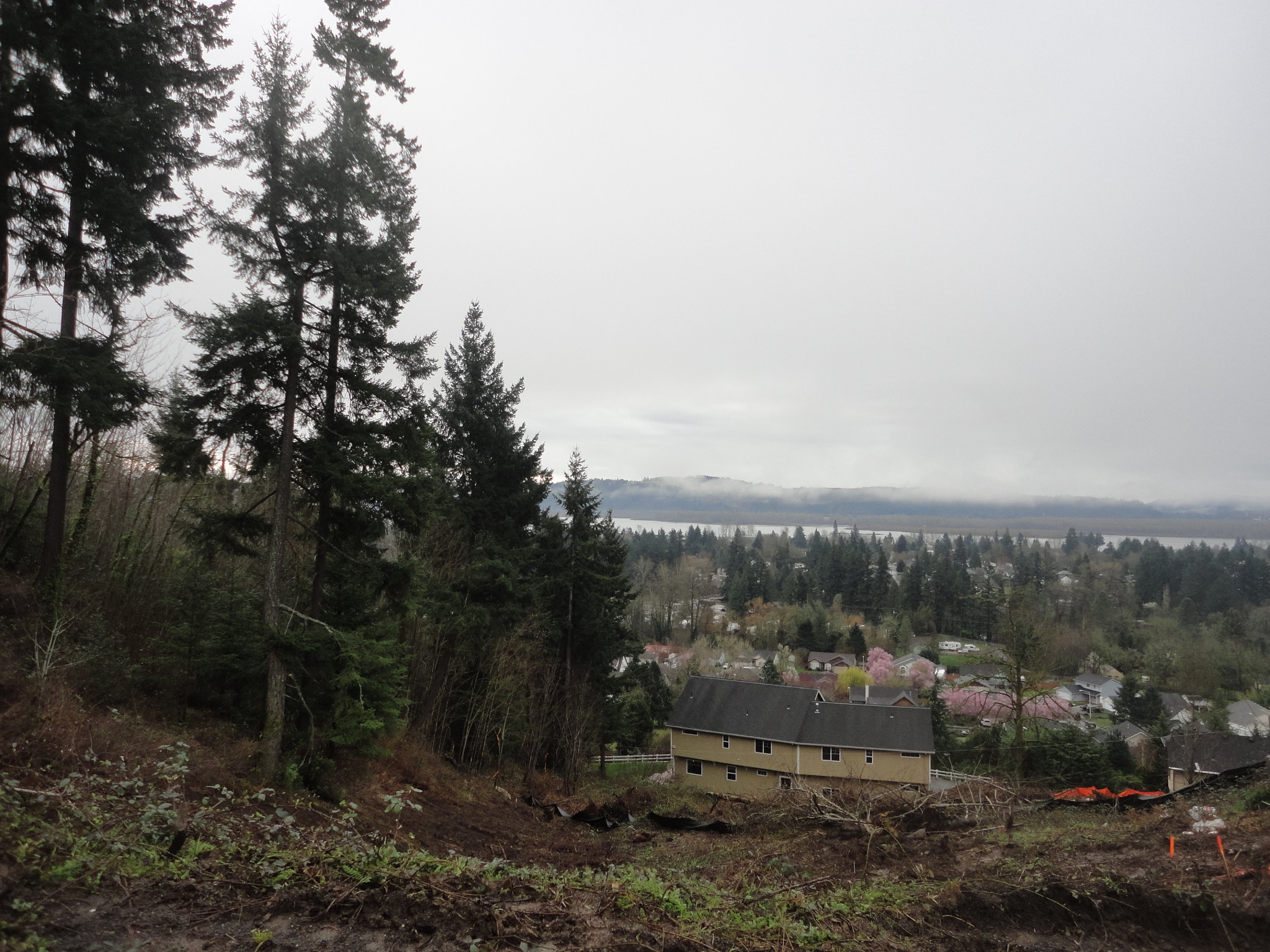 Sony Cyber-shot DSC-W560 sample photo. Woodburn hill march 2016 photography
