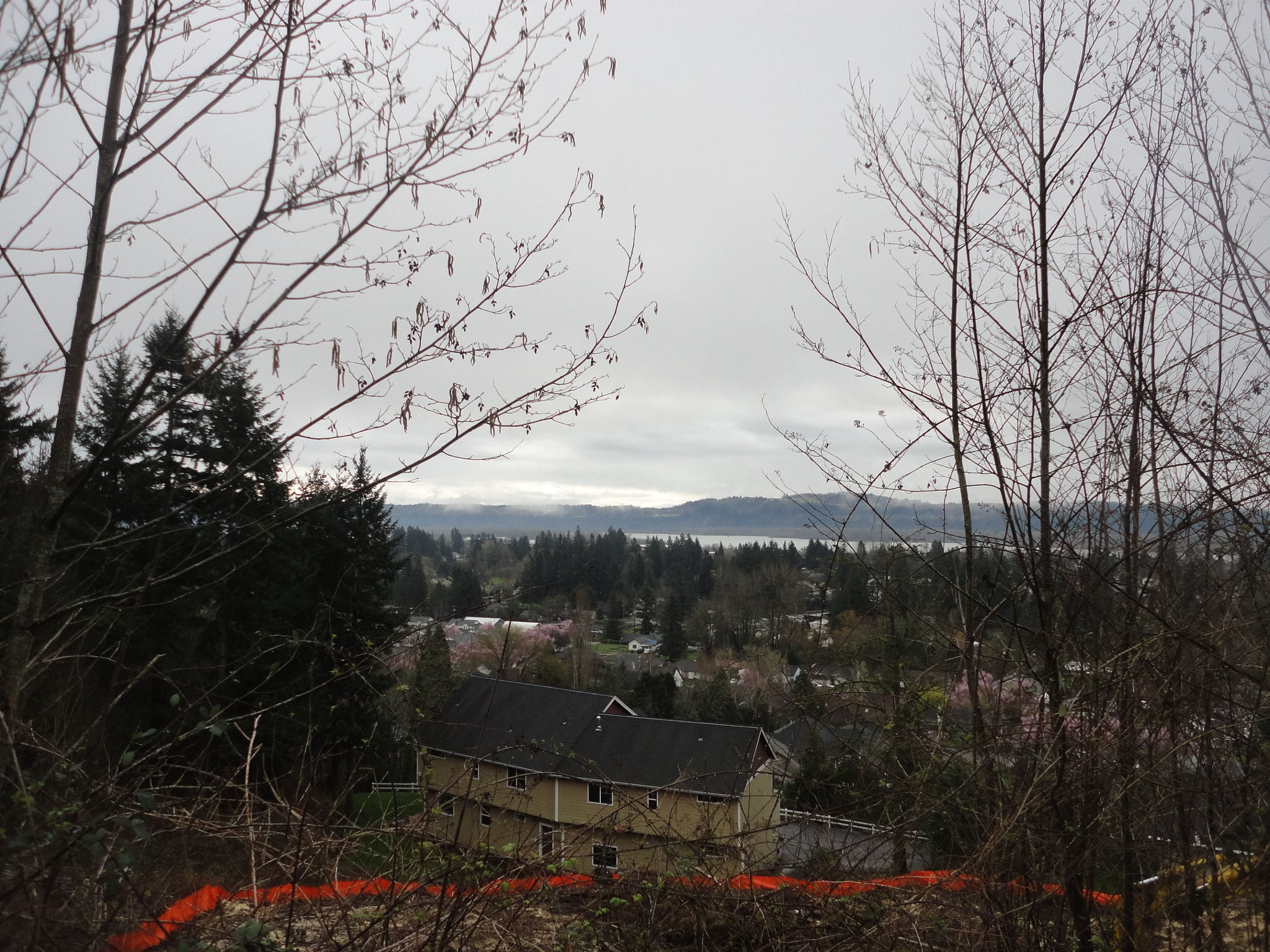 Sony Cyber-shot DSC-W560 sample photo. Woodburn hill march 2016 photography