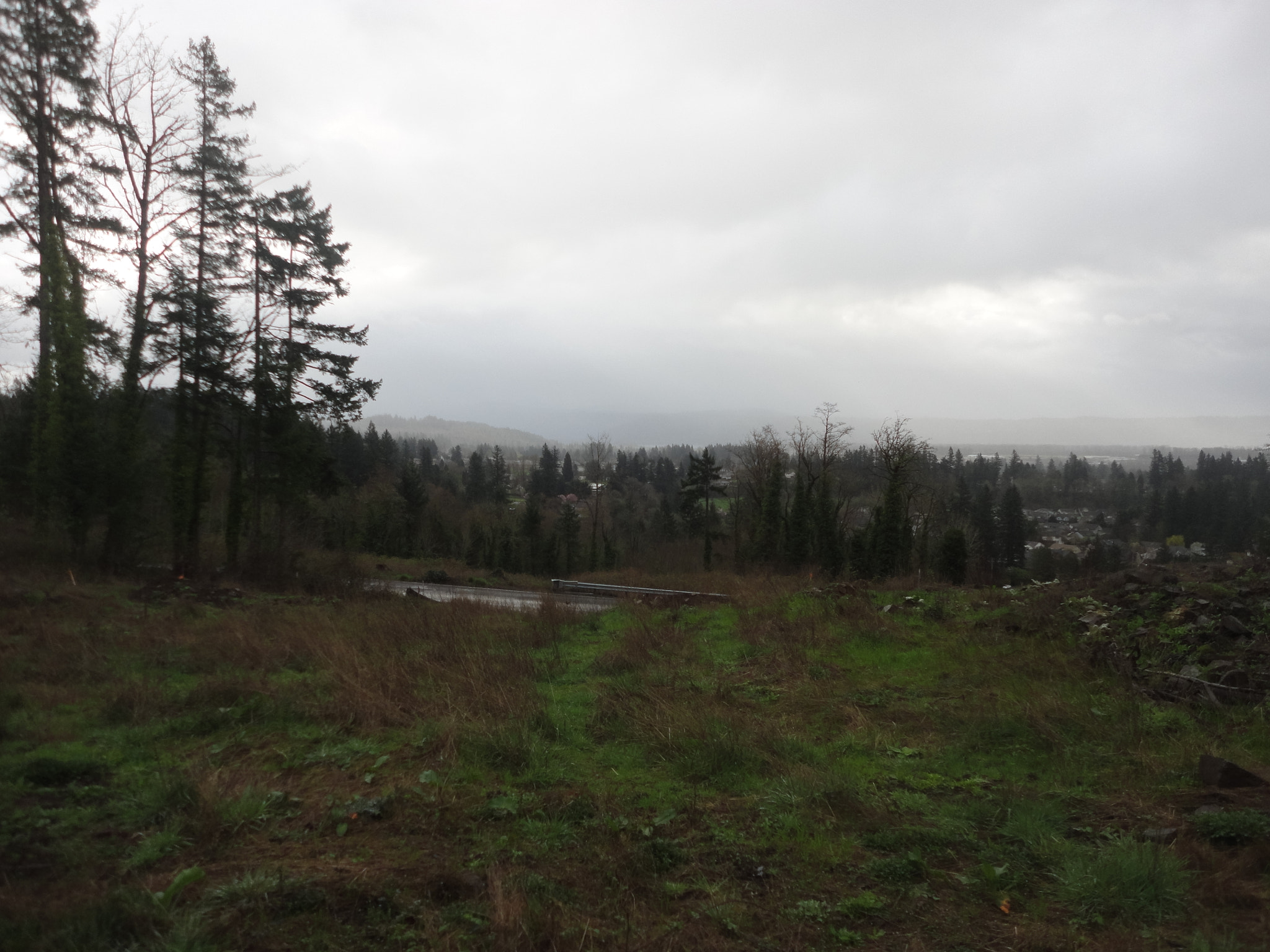 Sony Cyber-shot DSC-W560 sample photo. Woodburn hill march 2016 photography