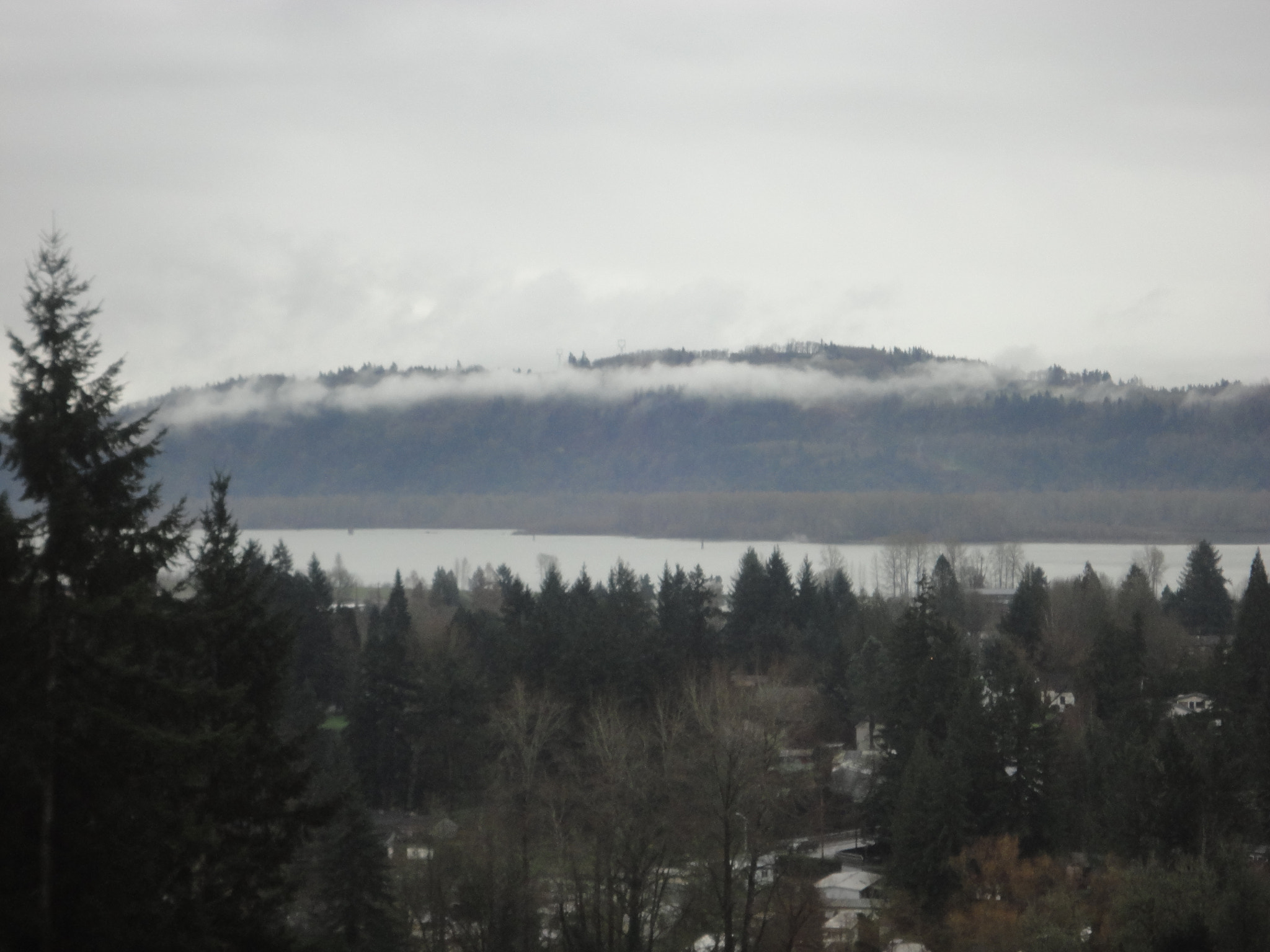 Sony Cyber-shot DSC-W560 sample photo. Woodburn hill march 2016 photography
