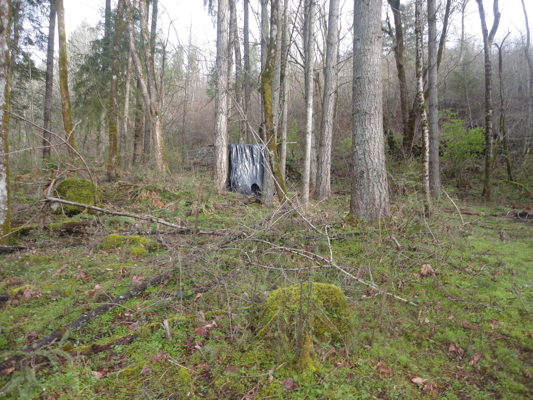 Sony Cyber-shot DSC-W560 sample photo. Woodburn hill march 2016 photography