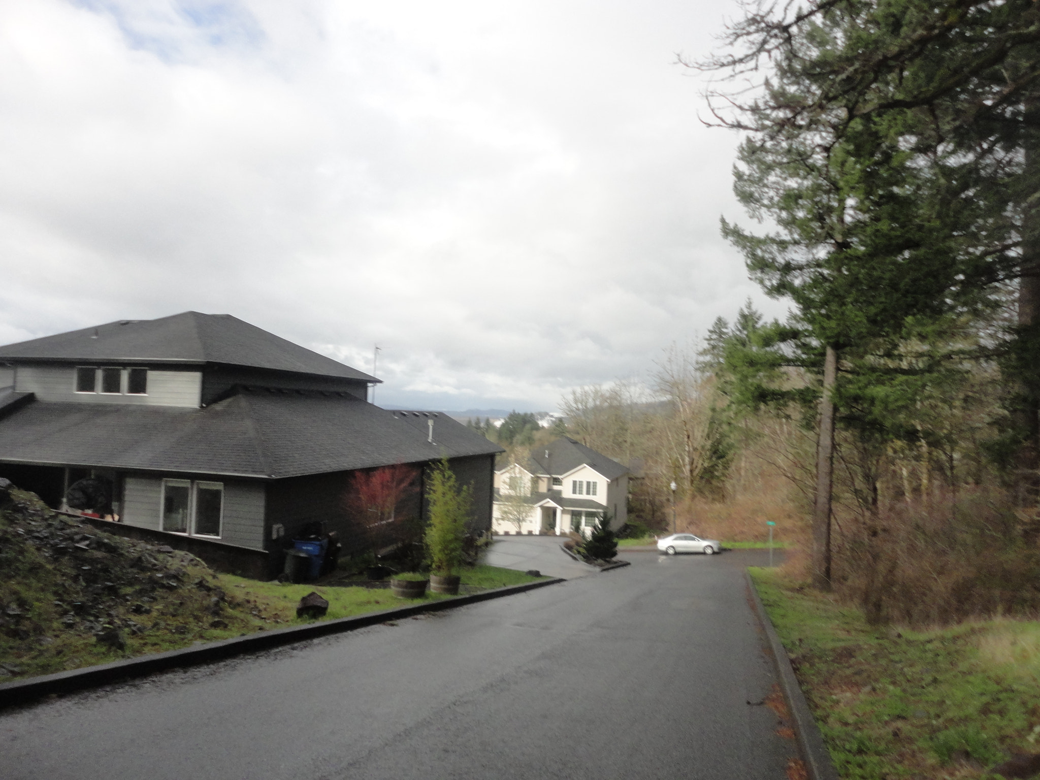 Sony Cyber-shot DSC-W560 sample photo. Woodburn hill march 2016 photography