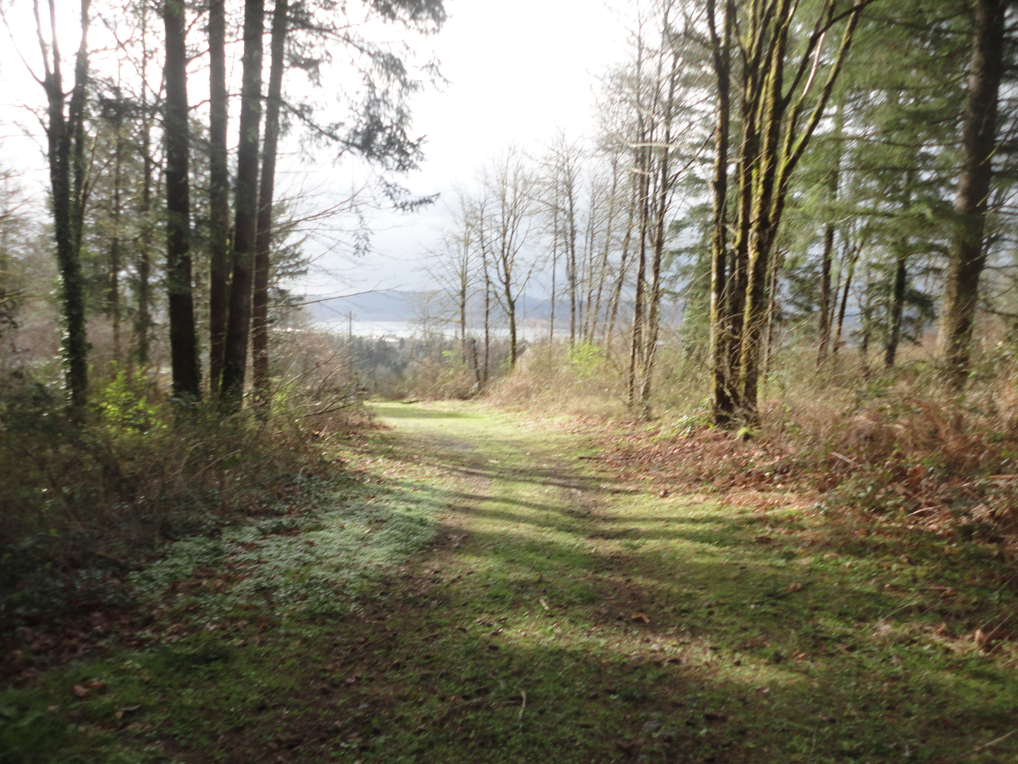 Sony Cyber-shot DSC-W560 sample photo. Woodburn hill march 2016 photography
