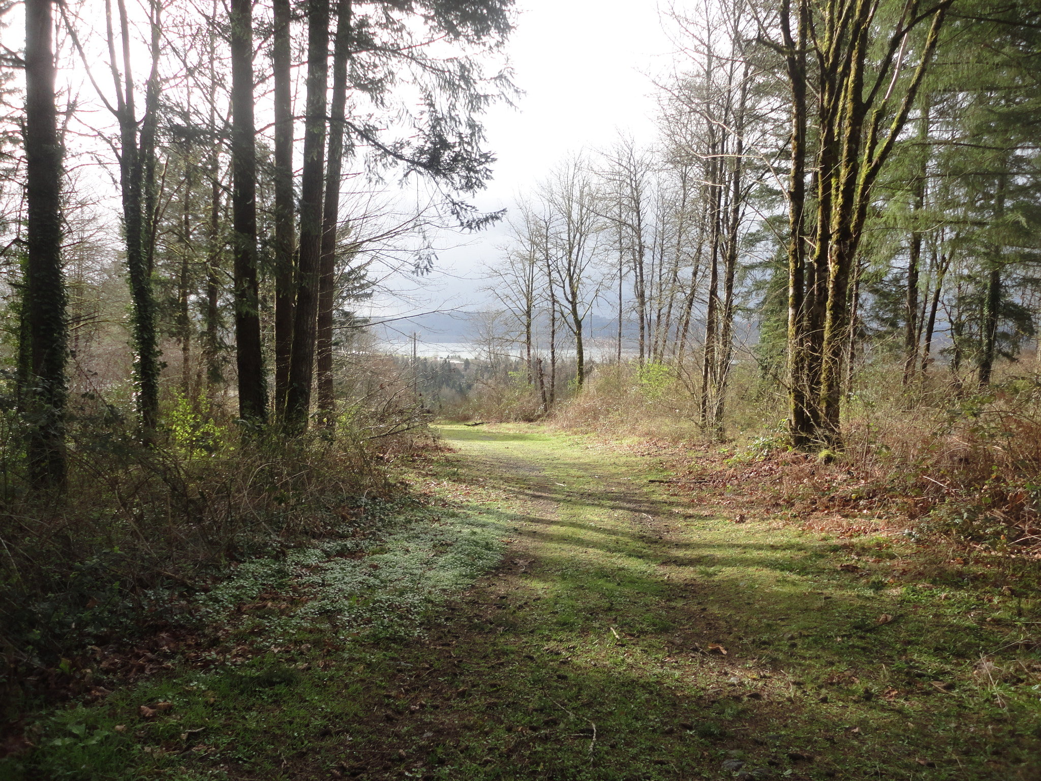 Sony Cyber-shot DSC-W560 sample photo. Woodburn hill march 2016 photography