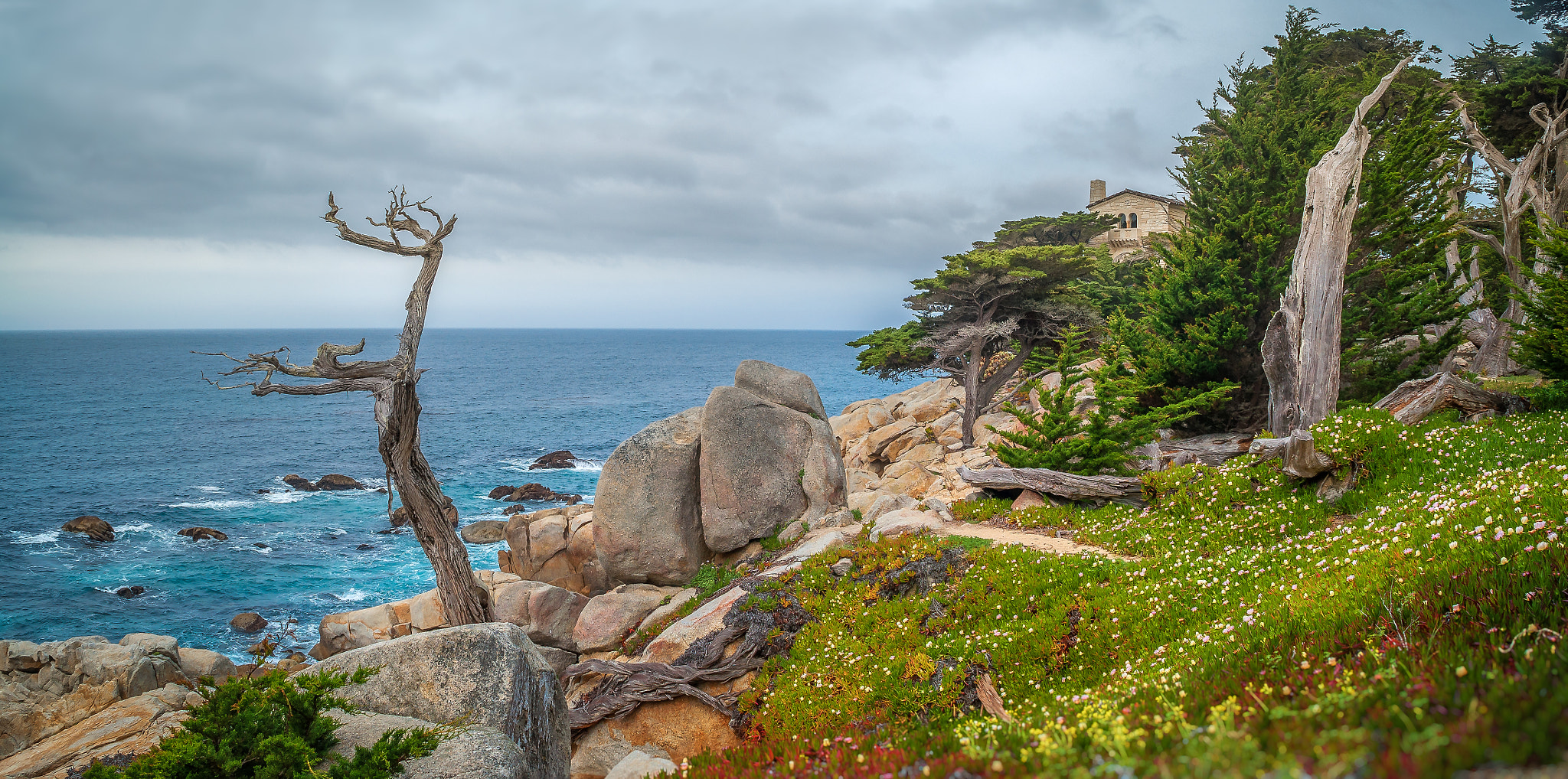 Nikon D90 sample photo. Monterey peninsula photography