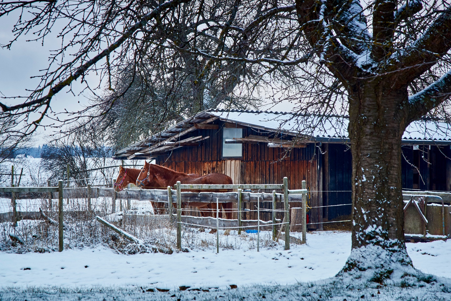 Sony SLT-A77 sample photo. Nichts los photography
